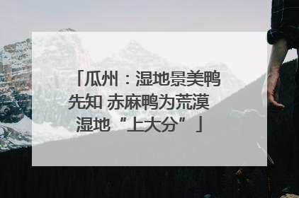 瓜州：湿地景美鸭先知 赤麻鸭为荒漠湿地“上大分”